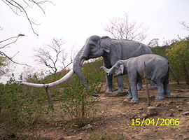 Giant elephant at Siwalik Fossil Park Saketi Himachal Pradesh.JPG